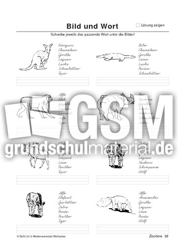 BuW Zootiere38.pdf